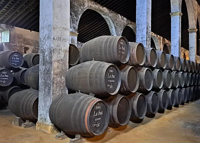 Apartament Allo Morenos V Centro Gran Terraza Jerez de la Frontera