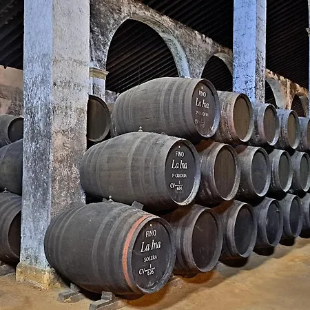 Lägenhet Allo Morenos V Centro Gran Terraza Jerez de la Frontera